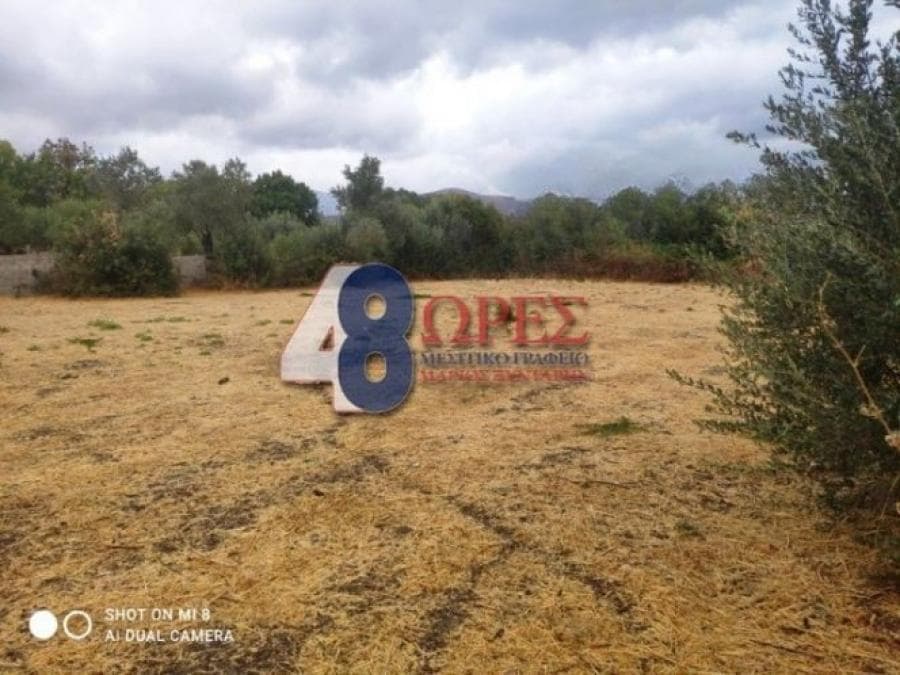 Οικόπεδο στην Άγιος Μηνάς, Χίος — Φωτογραφία 14 από 14