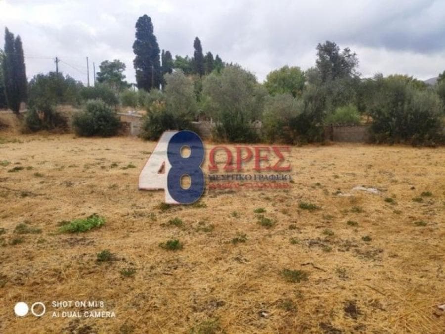 Οικόπεδο στην Άγιος Μηνάς, Χίος — Φωτογραφία 4 από 14