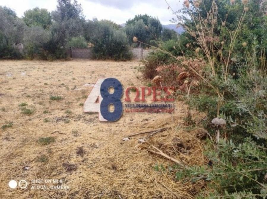 Οικόπεδο στην Άγιος Μηνάς, Χίος — Φωτογραφία 6 από 14