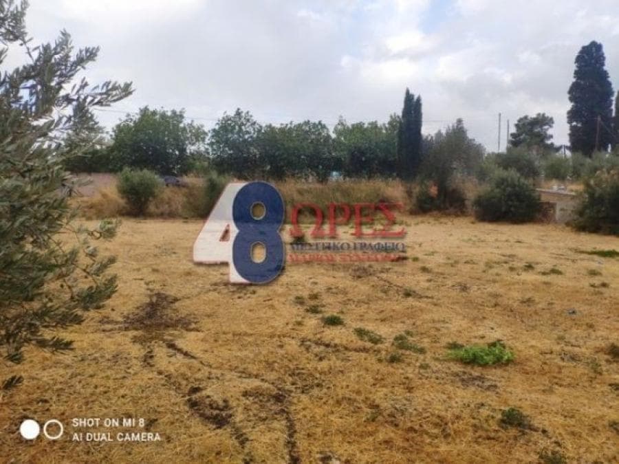 Οικόπεδο στην Άγιος Μηνάς, Χίος — Φωτογραφία 7 από 14