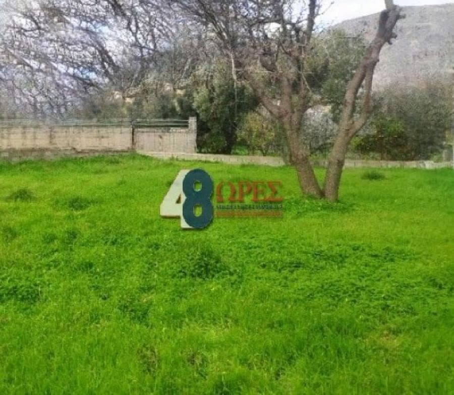 Οικόπεδο στην Πόλη Χίου, Χίος — Φωτογραφία 9 από 9