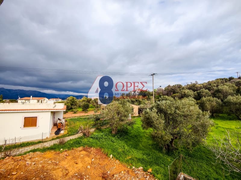 House in Agios Minas, Chios — Photo 19 of 26