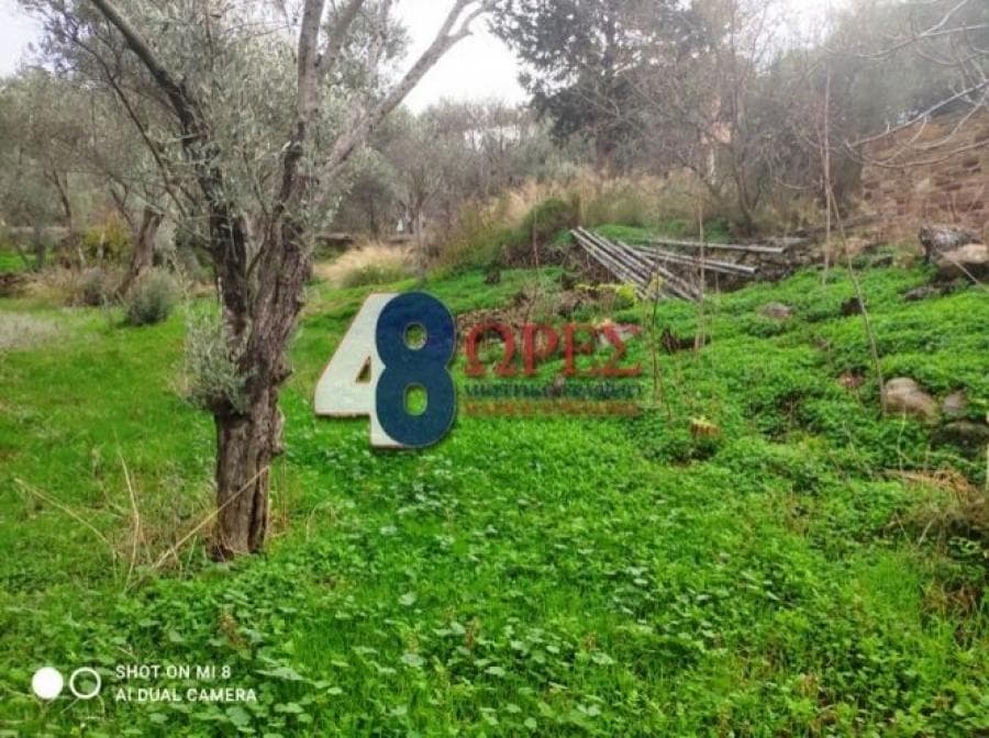 Οικόπεδο στην Άγιος Μηνάς, Χίος — Φωτογραφία 3 από 19
