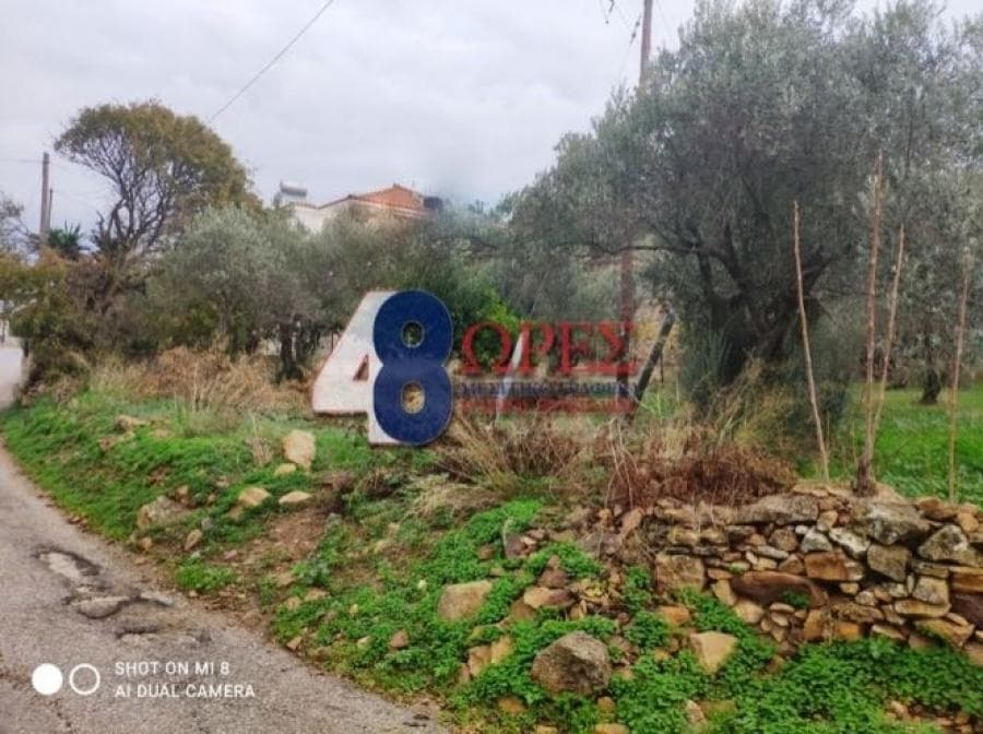 Οικόπεδο στην Άγιος Μηνάς, Χίος — Φωτογραφία 13 από 19