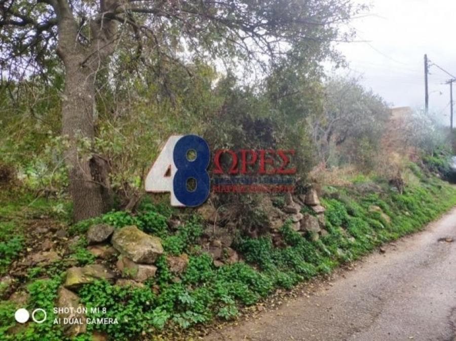 Οικόπεδο στην Άγιος Μηνάς, Χίος — Φωτογραφία 14 από 19