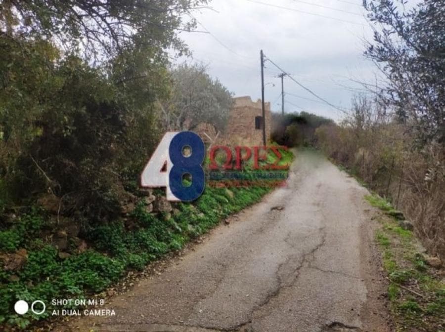 Οικόπεδο στην Άγιος Μηνάς, Χίος — Φωτογραφία 15 από 19