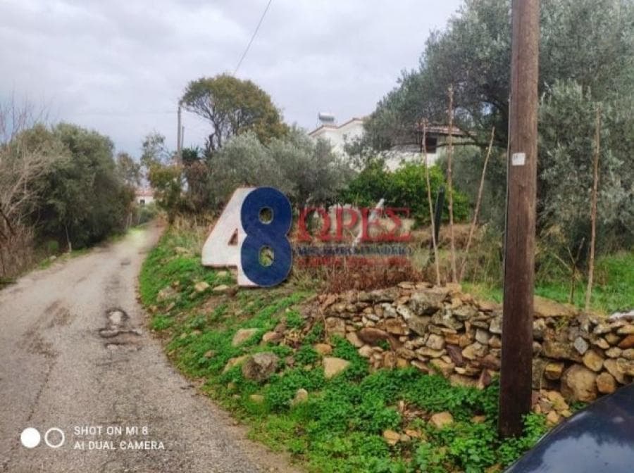 Οικόπεδο στην Άγιος Μηνάς, Χίος — Φωτογραφία 16 από 19