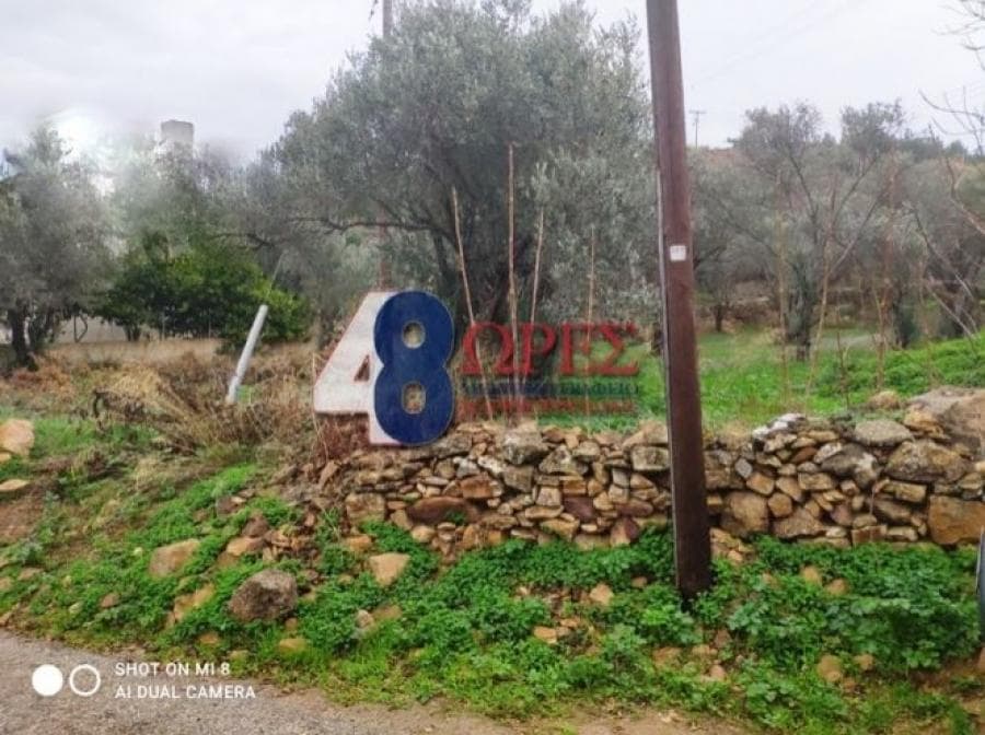 Οικόπεδο στην Άγιος Μηνάς, Χίος — Φωτογραφία 17 από 19