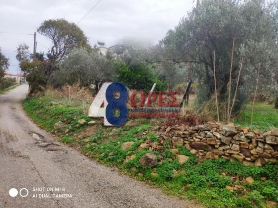 Οικόπεδο στην Άγιος Μηνάς, Χίος — Φωτογραφία 19 από 19