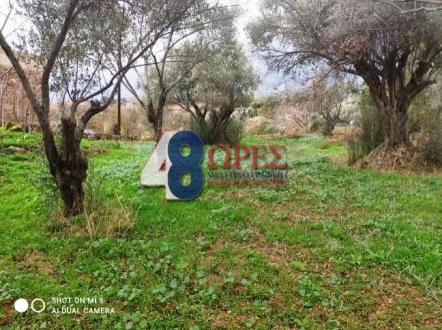 Οικόπεδο στην Άγιος Μηνάς, Χίος — Φωτογραφία 4 από 19