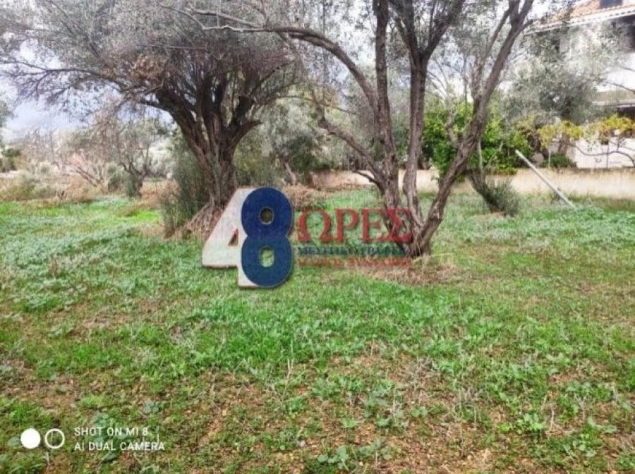 Οικόπεδο στην Άγιος Μηνάς, Χίος — Φωτογραφία 5 από 19