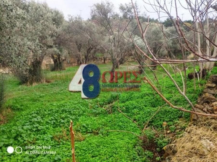 Οικόπεδο στην Άγιος Μηνάς, Χίος — Φωτογραφία 7 από 19