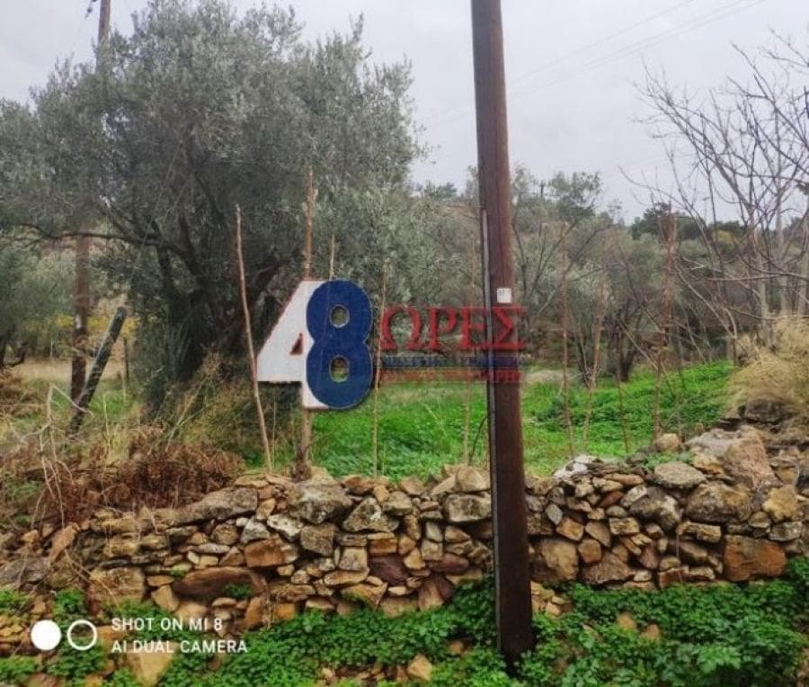 Οικόπεδο στην Άγιος Μηνάς, Χίος — Φωτογραφία 8 από 19