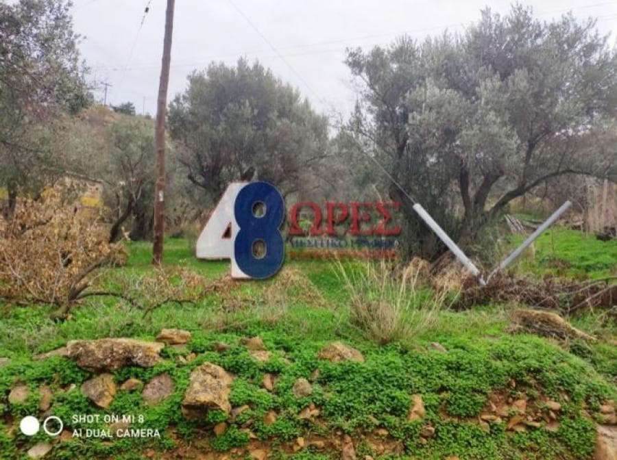 Οικόπεδο στην Άγιος Μηνάς, Χίος — Φωτογραφία 9 από 19