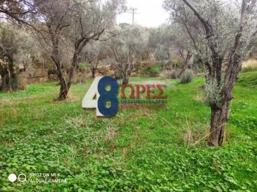Οικόπεδο στην Άγιος Μηνάς, Χίος — Φωτογραφία 10 από 19