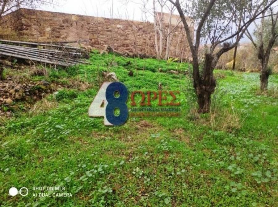 Οικόπεδο στην Άγιος Μηνάς, Χίος — Φωτογραφία 11 από 19