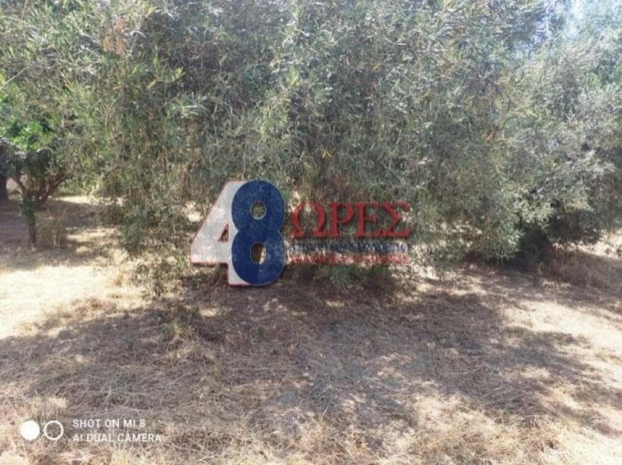 Οικόπεδο στην Πόλη Χίου, Χίος — Φωτογραφία 2 από 6