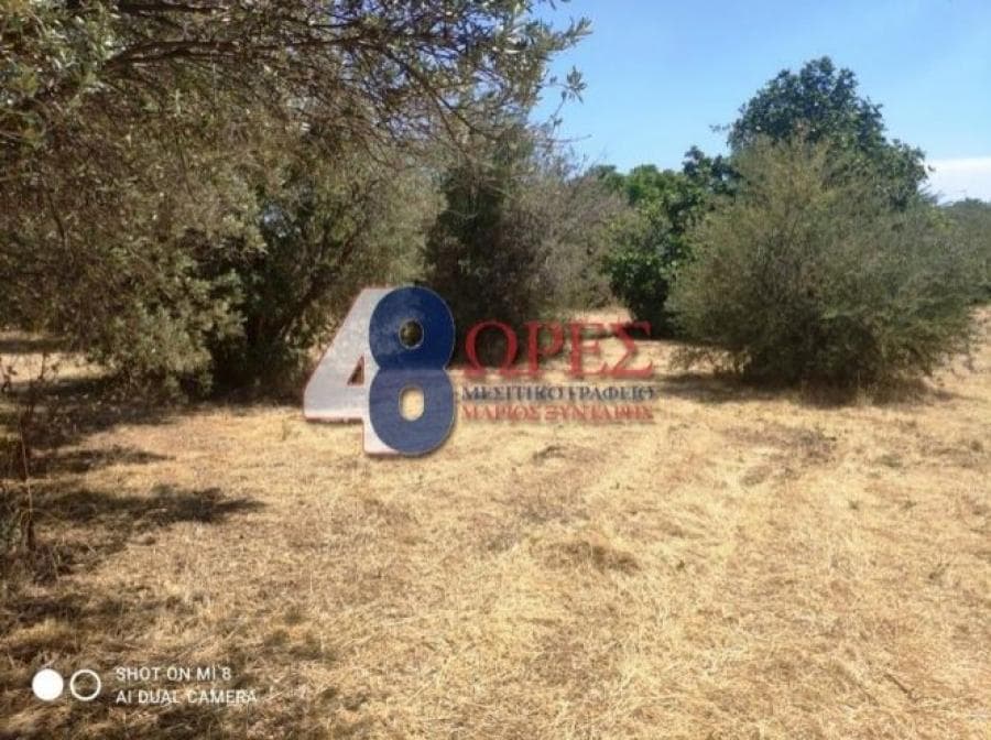 Οικόπεδο στην Πόλη Χίου, Χίος — Φωτογραφία 5 από 6