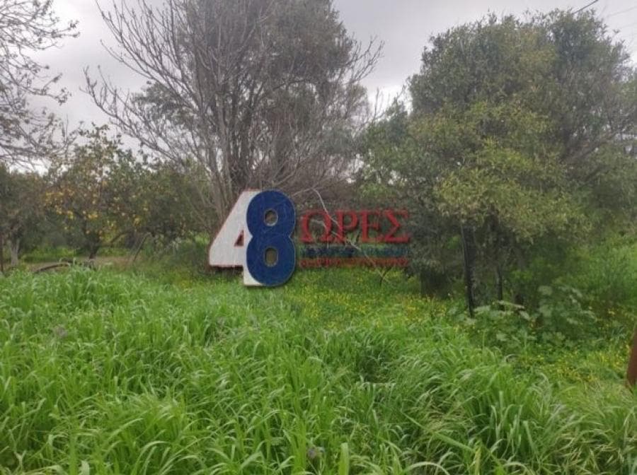 Οικόπεδο στην Καμποχώρια, Χίος — Φωτογραφία 1 από 9