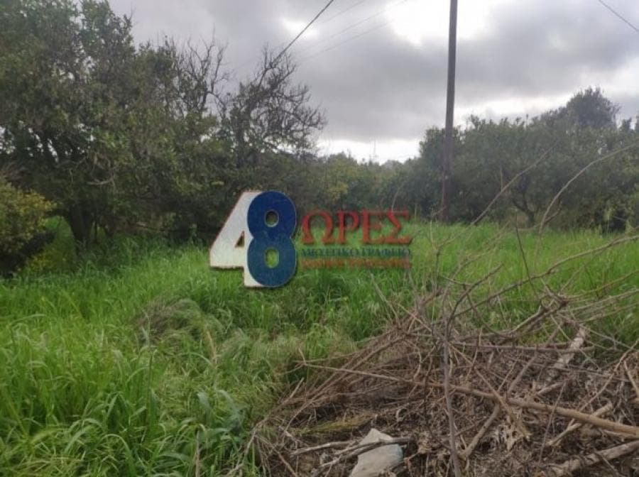 Οικόπεδο στην Καμποχώρια, Χίος — Φωτογραφία 5 από 9