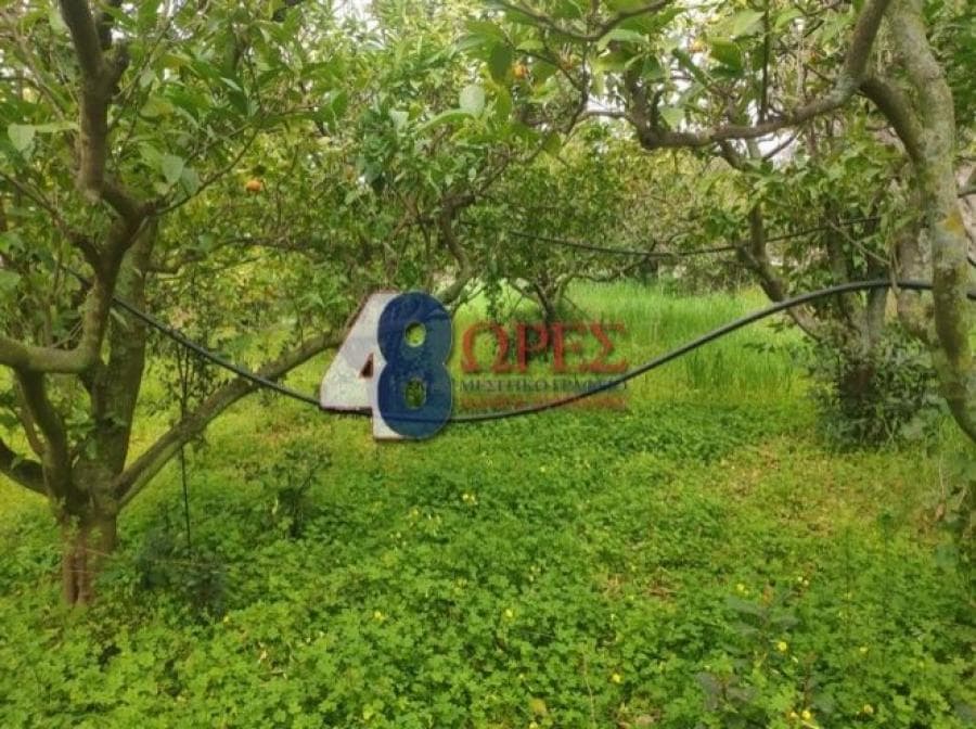 Οικόπεδο στην Καμποχώρια, Χίος — Φωτογραφία 6 από 9