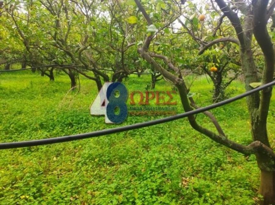 Οικόπεδο στην Καμποχώρια, Χίος — Φωτογραφία 7 από 9