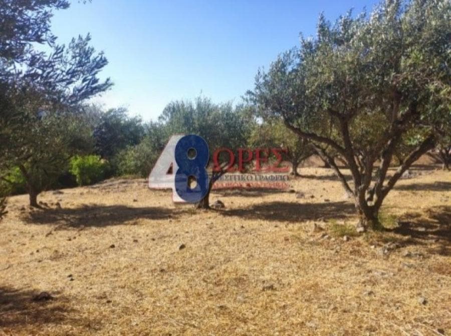 Οικόπεδο στην Πόλη Χίου, Χίος — Φωτογραφία 12 από 13