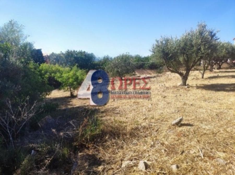 Οικόπεδο στην Πόλη Χίου, Χίος — Φωτογραφία 13 από 13