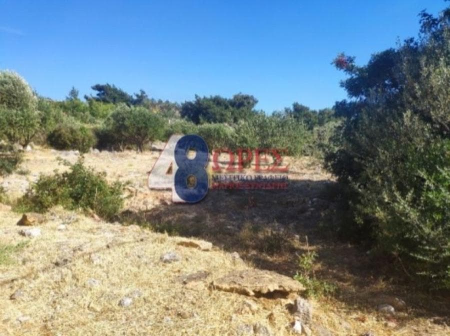 Οικόπεδο στην Πόλη Χίου, Χίος — Φωτογραφία 7 από 13