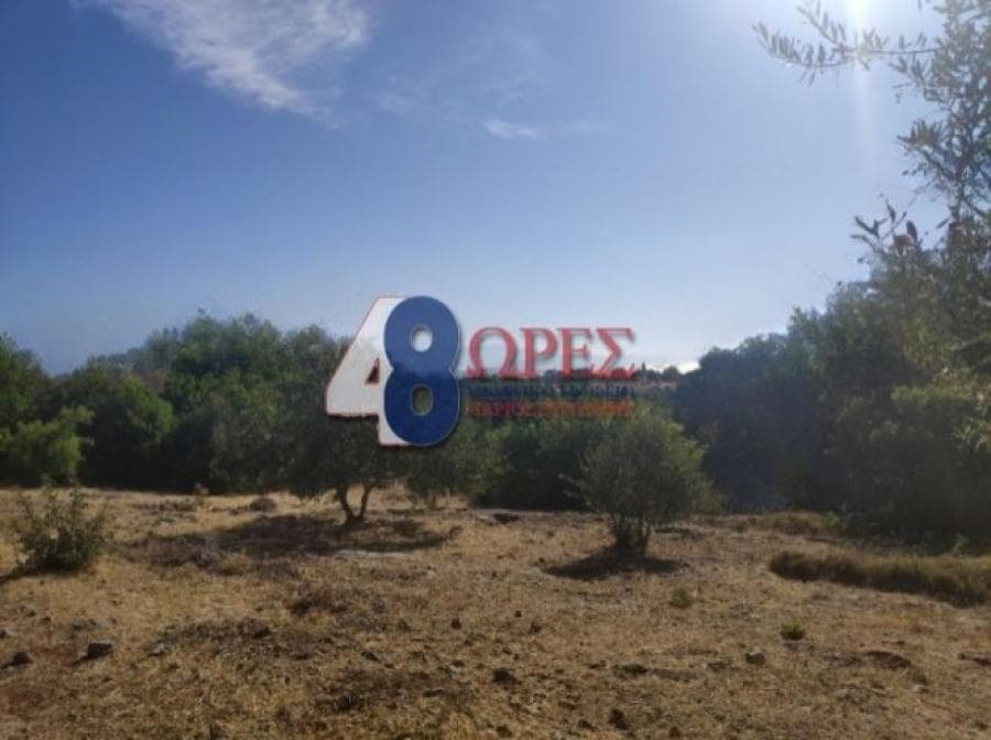 Οικόπεδο στην Πόλη Χίου, Χίος — Φωτογραφία 9 από 13
