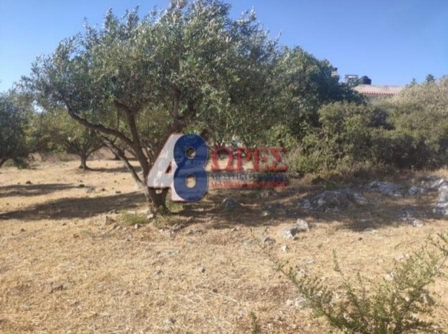 Οικόπεδο στην Πόλη Χίου, Χίος — Φωτογραφία 10 από 13
