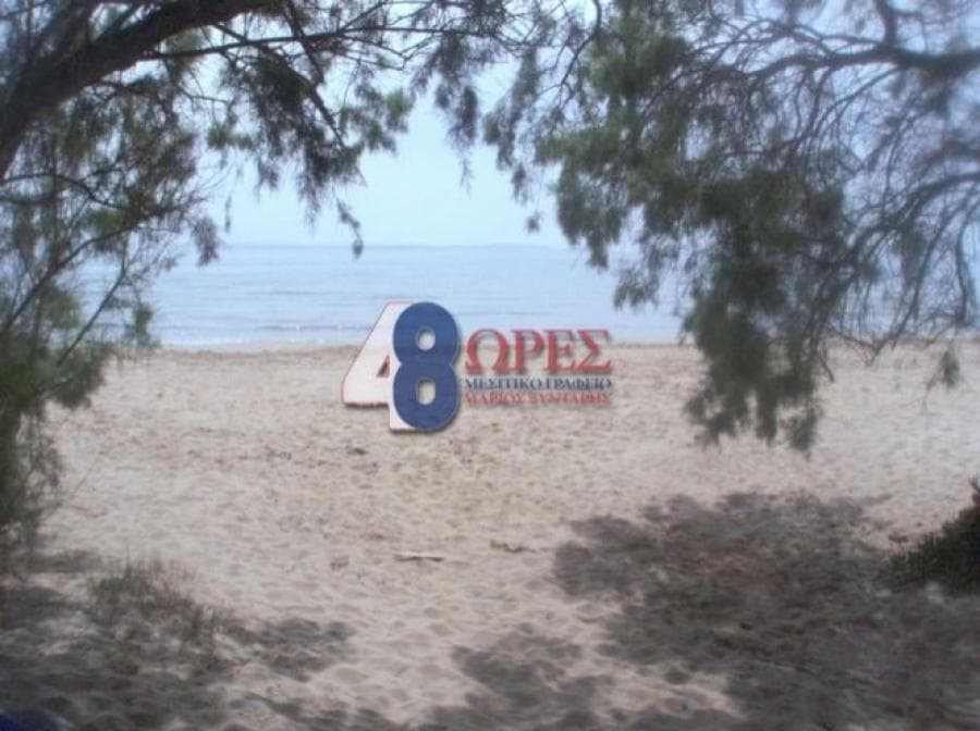 Οικόπεδο στην Άγιος Μηνάς, Χίος — Φωτογραφία 2 από 2