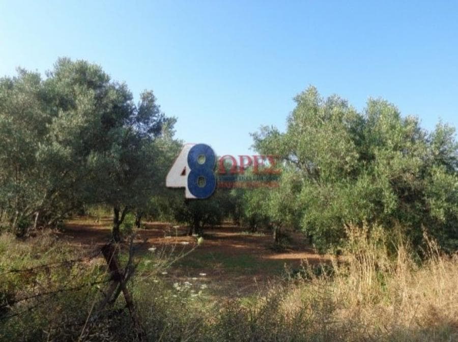 Οικόπεδο στην Άγιος Μηνάς, Χίος — Φωτογραφία 1 από 25