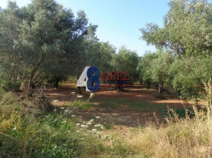 Οικόπεδο στην Άγιος Μηνάς, Χίος — Φωτογραφία 11 από 25