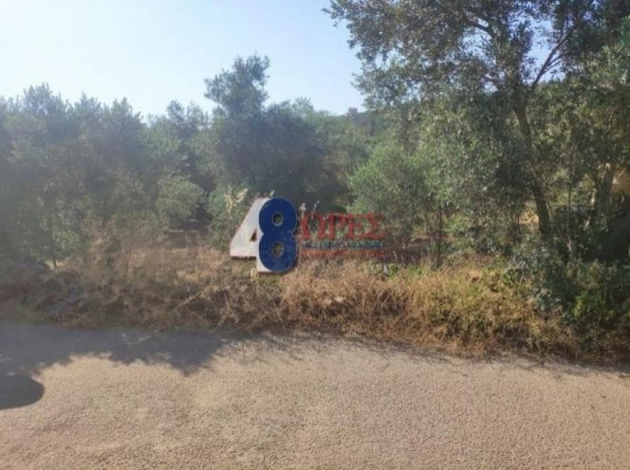 Οικόπεδο στην Άγιος Μηνάς, Χίος — Φωτογραφία 12 από 25