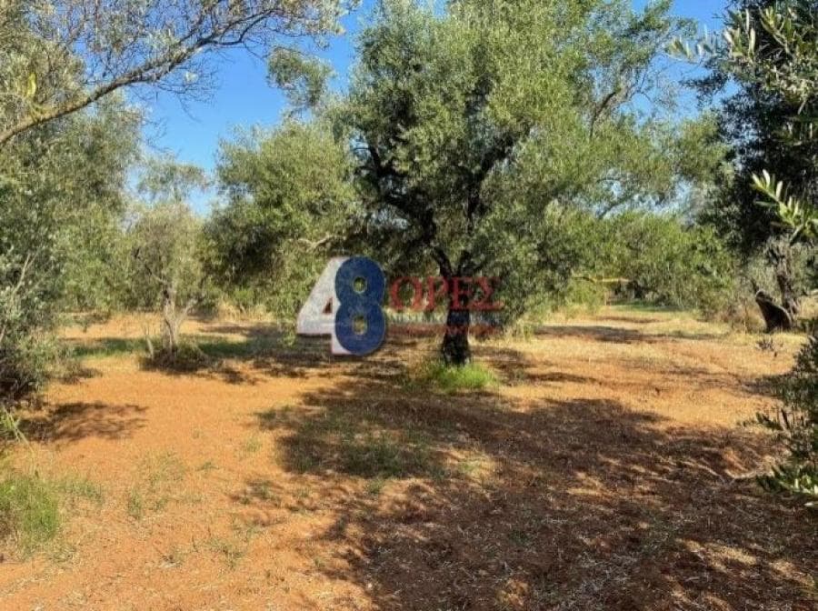 Οικόπεδο στην Άγιος Μηνάς, Χίος — Φωτογραφία 13 από 25