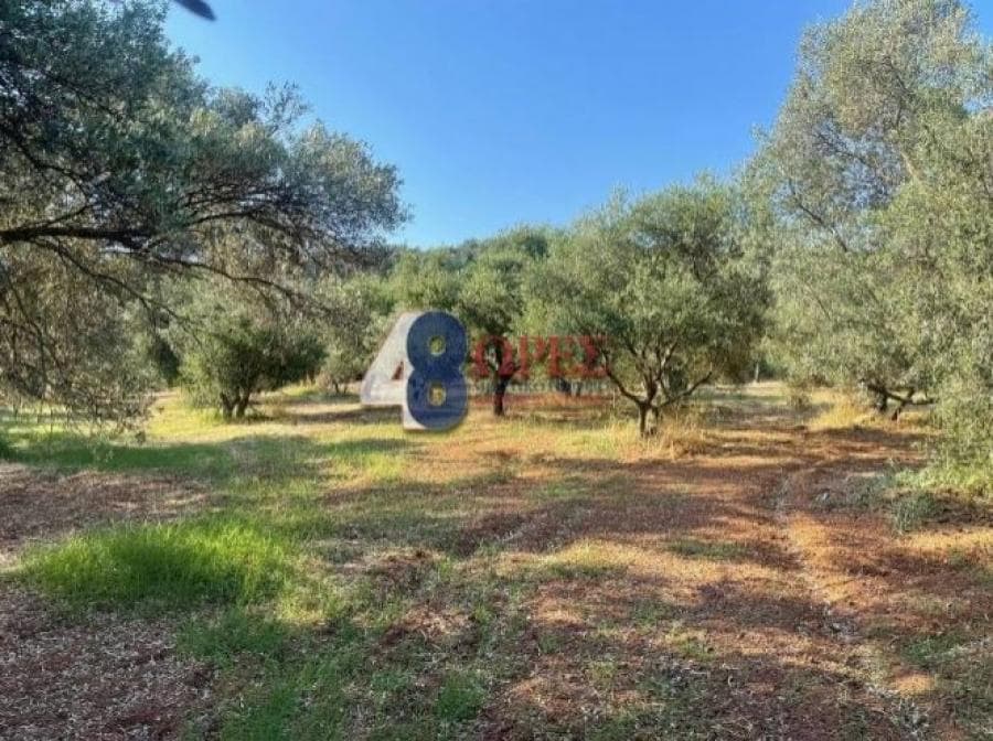 Οικόπεδο στην Άγιος Μηνάς, Χίος — Φωτογραφία 14 από 25