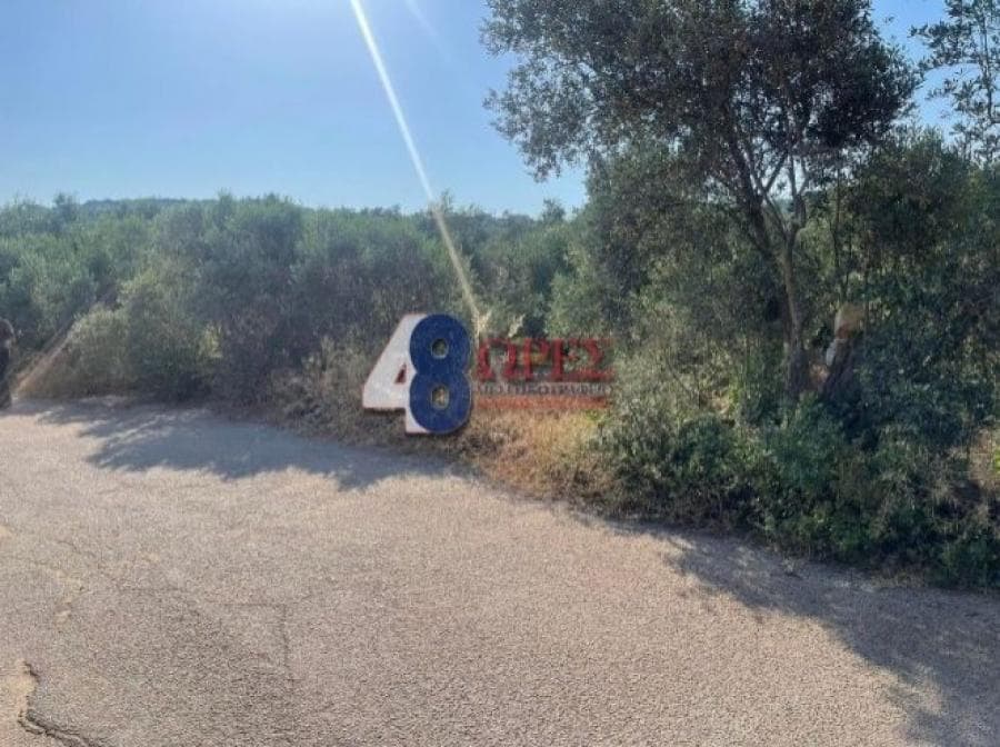 Οικόπεδο στην Άγιος Μηνάς, Χίος — Φωτογραφία 15 από 25