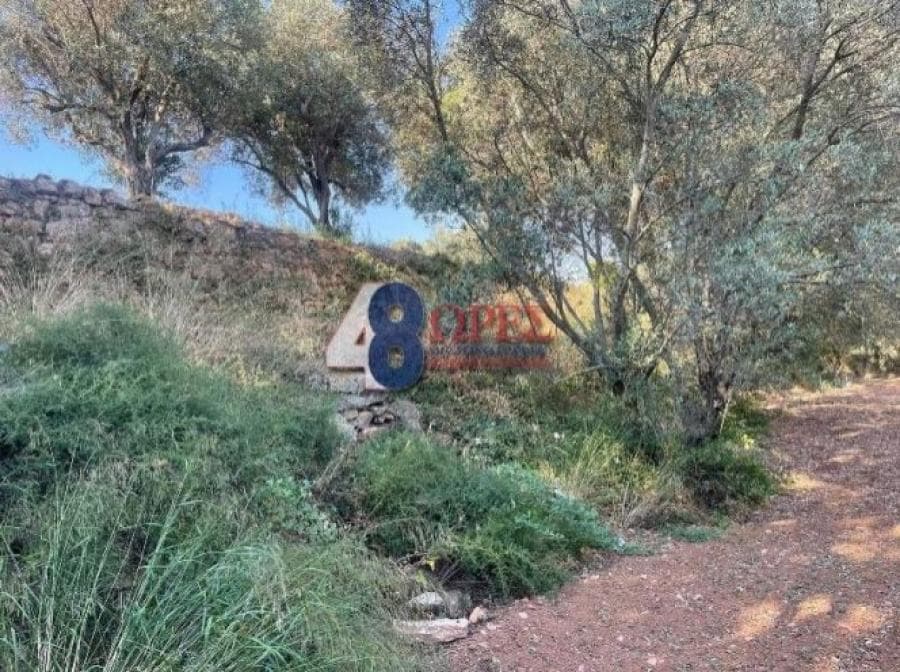Οικόπεδο στην Άγιος Μηνάς, Χίος — Φωτογραφία 17 από 25