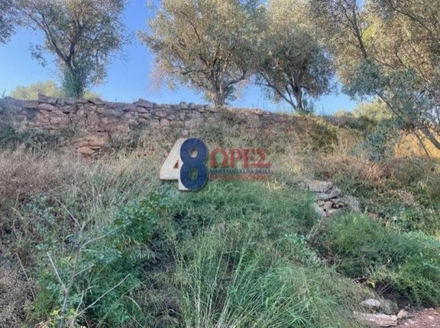 Οικόπεδο στην Άγιος Μηνάς, Χίος — Φωτογραφία 18 από 25