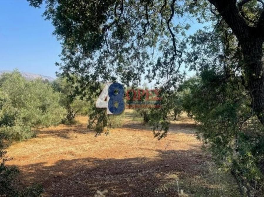 Οικόπεδο στην Άγιος Μηνάς, Χίος — Φωτογραφία 19 από 25