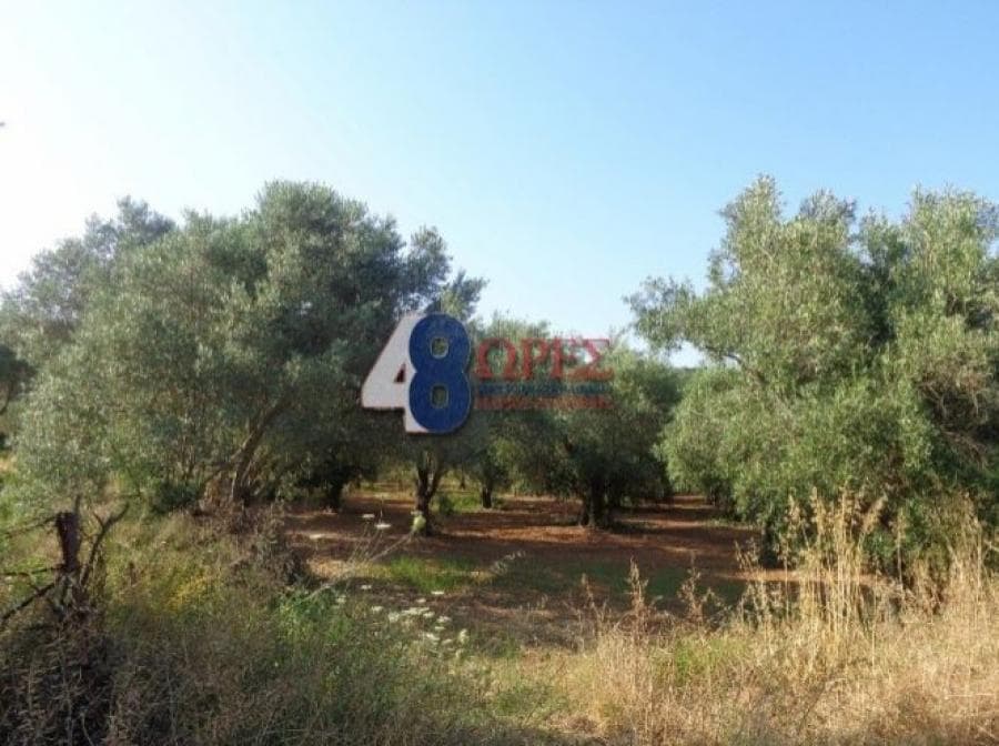 Οικόπεδο στην Άγιος Μηνάς, Χίος — Φωτογραφία 2 από 25