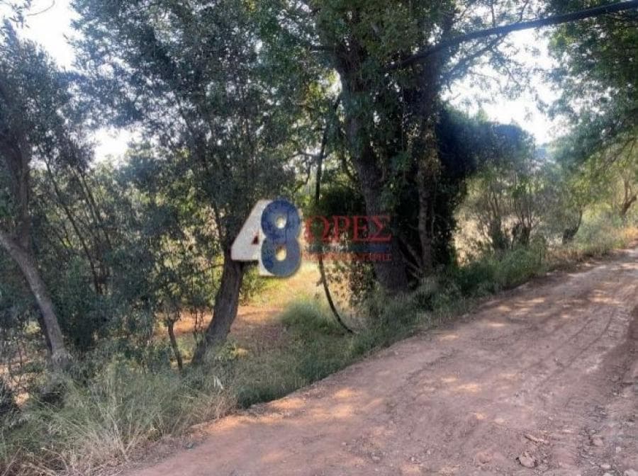 Οικόπεδο στην Άγιος Μηνάς, Χίος — Φωτογραφία 20 από 25