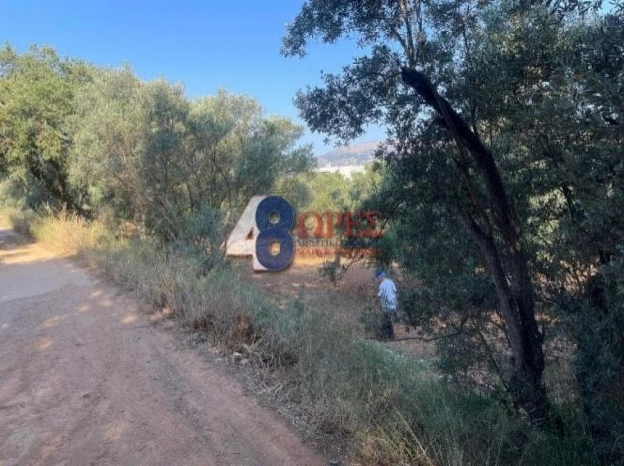 Οικόπεδο στην Άγιος Μηνάς, Χίος — Φωτογραφία 21 από 25