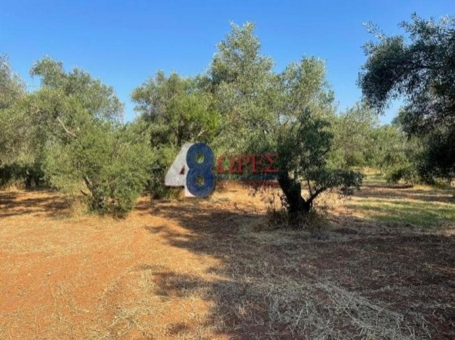 Οικόπεδο στην Άγιος Μηνάς, Χίος — Φωτογραφία 22 από 25