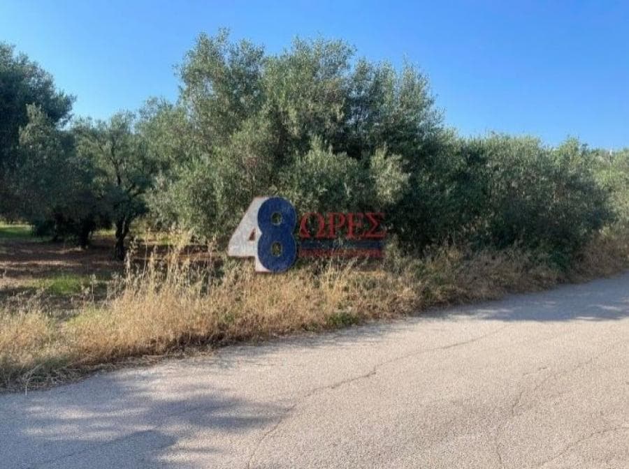 Οικόπεδο στην Άγιος Μηνάς, Χίος — Φωτογραφία 23 από 25