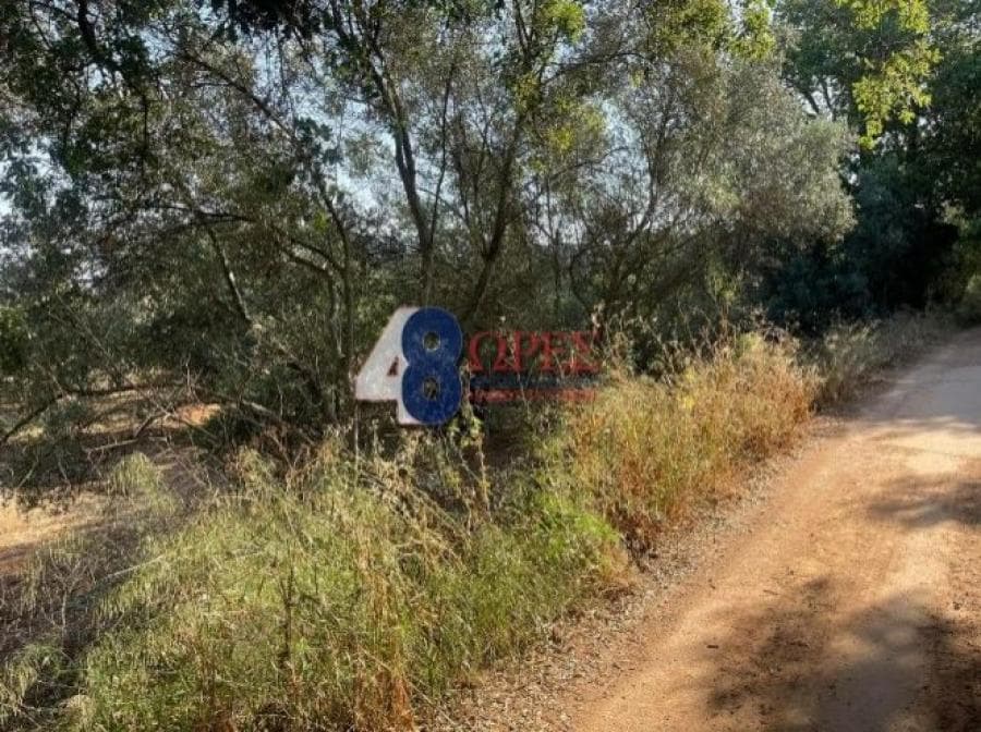 Οικόπεδο στην Άγιος Μηνάς, Χίος — Φωτογραφία 24 από 25