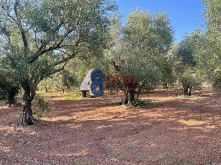 Οικόπεδο στην Άγιος Μηνάς, Χίος — Φωτογραφία 25 από 25