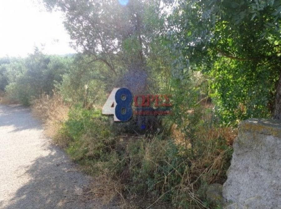 Οικόπεδο στην Άγιος Μηνάς, Χίος — Φωτογραφία 4 από 25