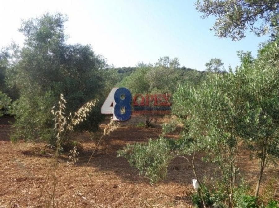 Οικόπεδο στην Άγιος Μηνάς, Χίος — Φωτογραφία 5 από 25